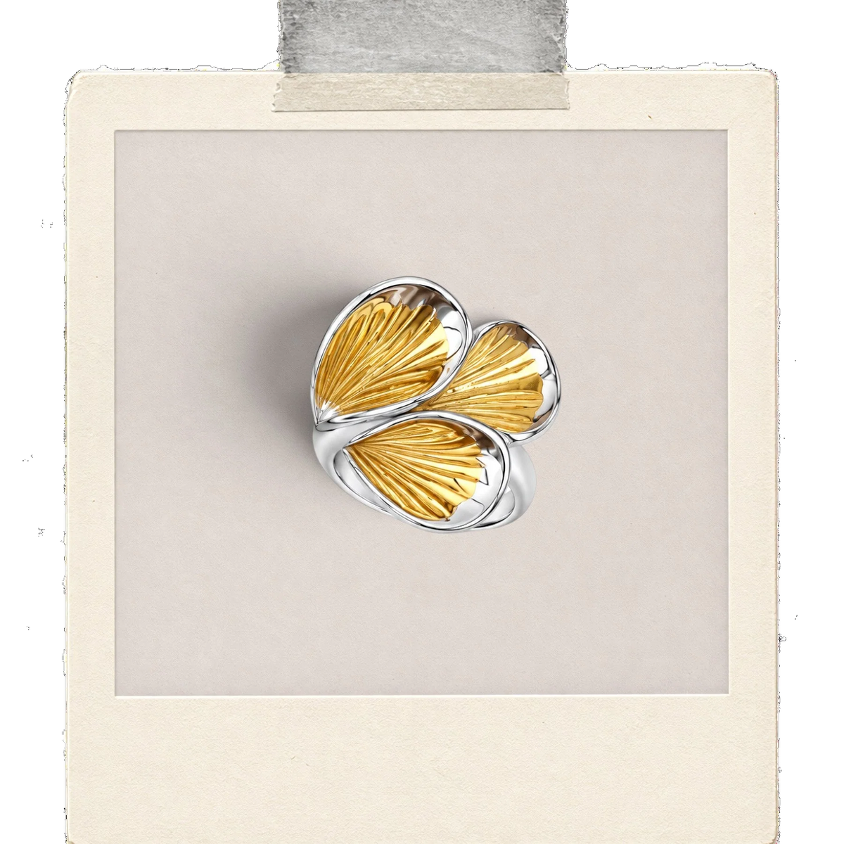 Gilded Shell Fan Statement Ring