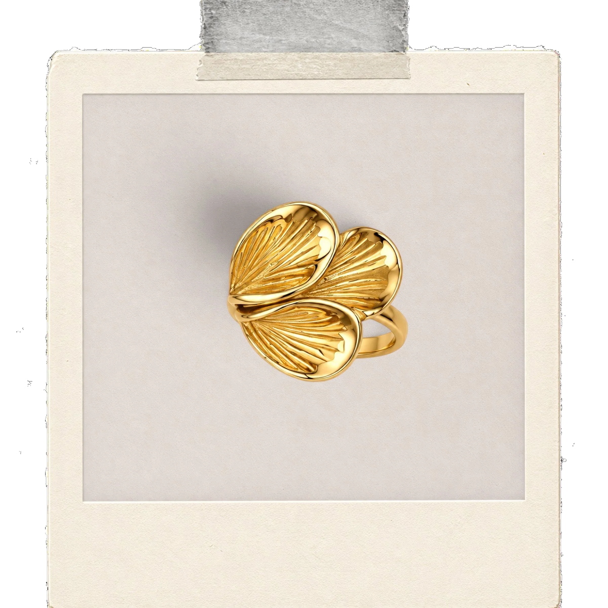 Sunlit Shell Sculptural Ring